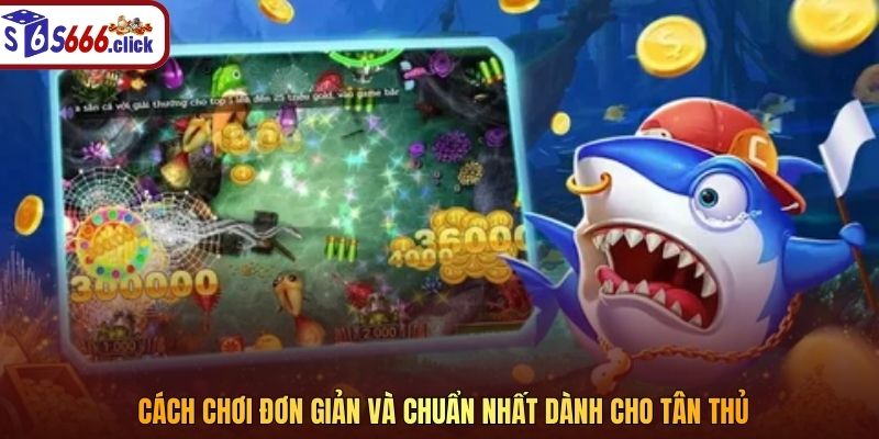 Cách chơi đơn giản và chuẩn nhất dành cho tân thủ